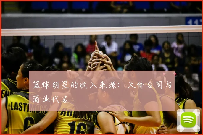 篮球明星的收入来源:天价合同与商业代言