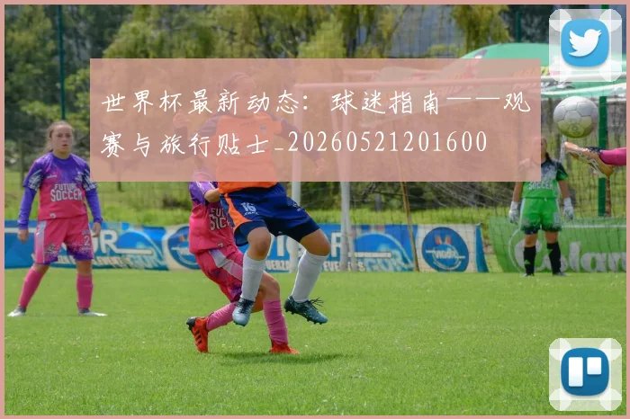 世界杯最新动态:球迷指南——观赛与旅行贴士_20260521201600