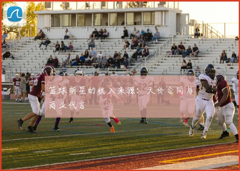 篮球明星的收入来源：天价合同与商业代言